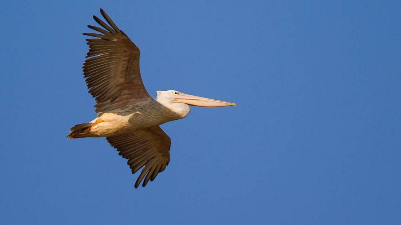 Kwalucia Private Safari Retreat Otel Saint Lucia Estuary Dış mekan fotoğraf