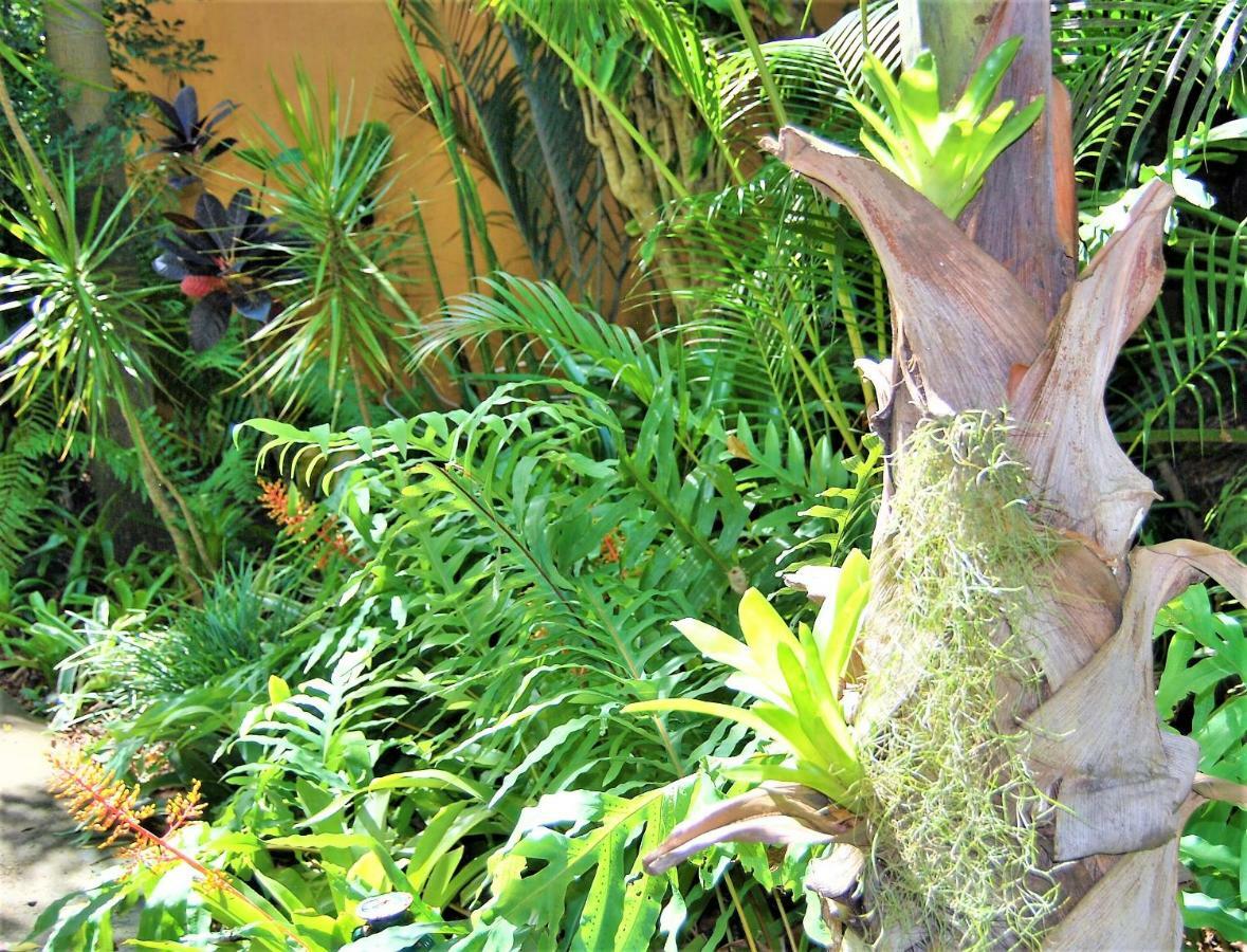 Kwalucia Private Safari Retreat Otel Saint Lucia Estuary Dış mekan fotoğraf